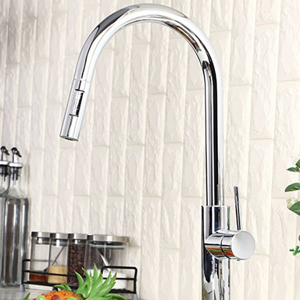 Modern Style Gooseneck Faucet Copper Single Handle Faucet for Kitchen Clearhalo 'Home Improvement' 'home_improvement' 'home_improvement_kitchen_faucets' 'Kitchen Faucets' 'Kitchen Remodel & Kitchen Fixtures' 'Kitchen Sinks & Faucet Components' 'kitchen_faucets' 1200x1200_604bb8db-8e76-4ab1-a52c-6b32b9fad8d4