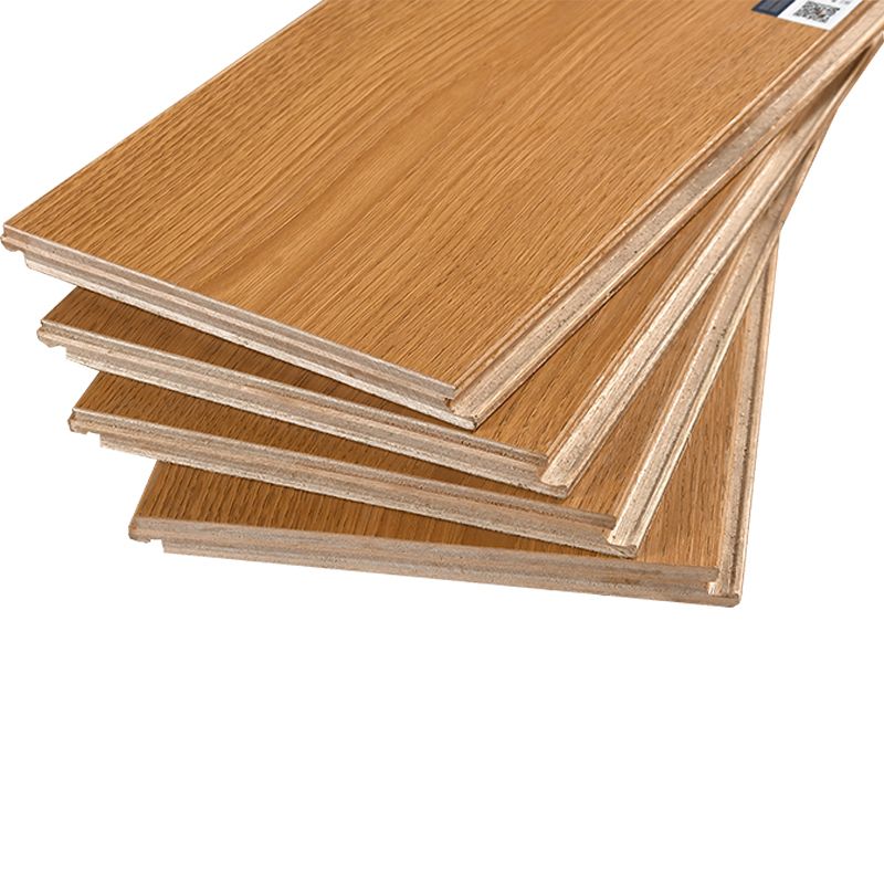 Stain Resistant Laminate Flooring Solid Wood Laminate for Home Clearhalo 'Flooring 'Home Improvement' 'home_improvement' 'home_improvement_laminate_flooring' 'Laminate Flooring' 'laminate_flooring' Walls and Ceiling' 1200x1200_60ddca88-0563-4cd0-837d-cfaadab18c6a