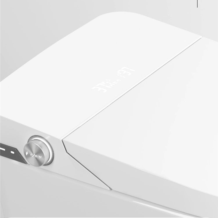 Elongated Floor Mount Bidet White Smart Bidet with Heated Seat Clearhalo 'Bathroom Remodel & Bathroom Fixtures' 'Bidets' 'Home Improvement' 'home_improvement' 'home_improvement_bidets' 'Toilets & Bidets' 1200x1200_6132c830-c9e6-4b2d-9b6d-b358f3217553