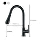 Contemporary Pull Down Kitchen Faucet Single Handle Faucet with Pull Out Sprayer Clearhalo 'Home Improvement' 'home_improvement' 'home_improvement_kitchen_faucets' 'Kitchen Faucets' 'Kitchen Remodel & Kitchen Fixtures' 'Kitchen Sinks & Faucet Components' 'kitchen_faucets' 1200x1200_619f4b1a-21fd-467a-b799-2d2b07020217