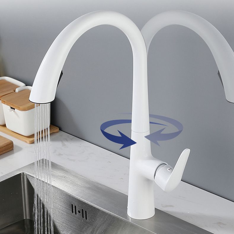 Modern Style Kitchen Faucet Gooseneck Standard Kitchen Faucet Clearhalo 'Home Improvement' 'home_improvement' 'home_improvement_kitchen_faucets' 'Kitchen Faucets' 'Kitchen Remodel & Kitchen Fixtures' 'Kitchen Sinks & Faucet Components' 'kitchen_faucets' 1200x1200_628e8f83-3f28-4b04-830c-33d51c4fe7c2