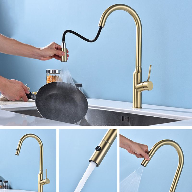 Modern 1-Handle Faucets Stainless Steel with Water Dispenser Pull down Faucets Clearhalo 'Home Improvement' 'home_improvement' 'home_improvement_kitchen_faucets' 'Kitchen Faucets' 'Kitchen Remodel & Kitchen Fixtures' 'Kitchen Sinks & Faucet Components' 'kitchen_faucets' 1200x1200_63493712-3999-4f69-bac8-b66c3d0229a2