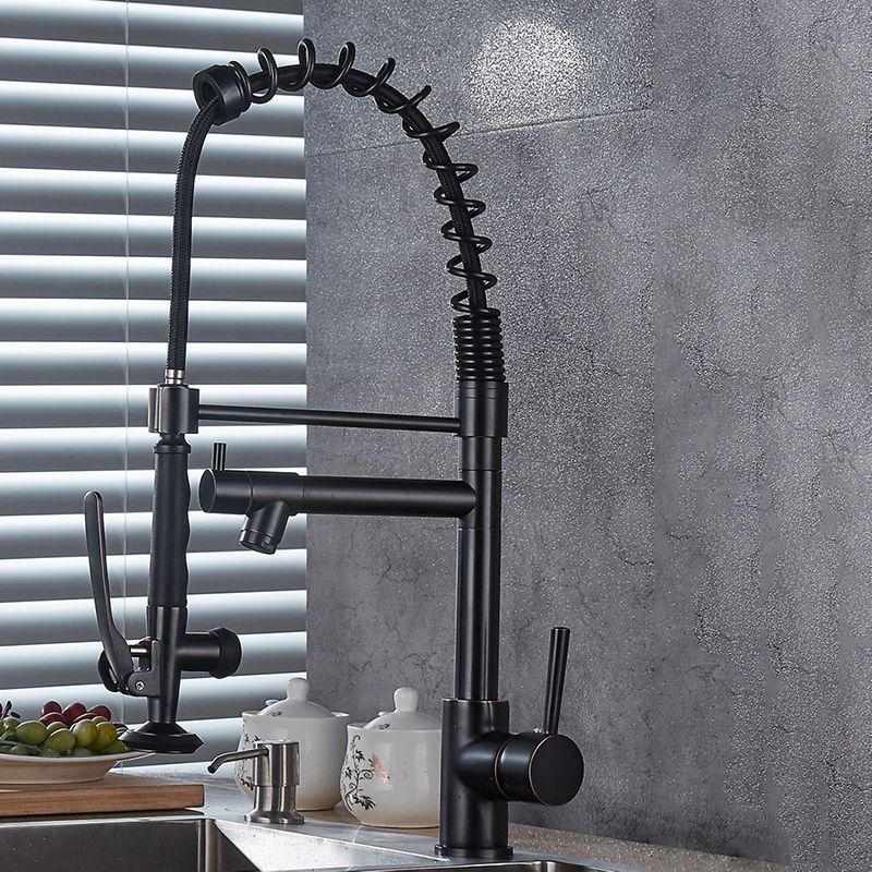 Modern Farmhouse Spring Spout Kitchen Sink Faucet Gooseneck with Pull Down Sprayer Clearhalo 'Home Improvement' 'home_improvement' 'home_improvement_kitchen_faucets' 'Kitchen Faucets' 'Kitchen Remodel & Kitchen Fixtures' 'Kitchen Sinks & Faucet Components' 'kitchen_faucets' 1200x1200_6381a82e-bfbd-4807-8e07-1fe76d90d800