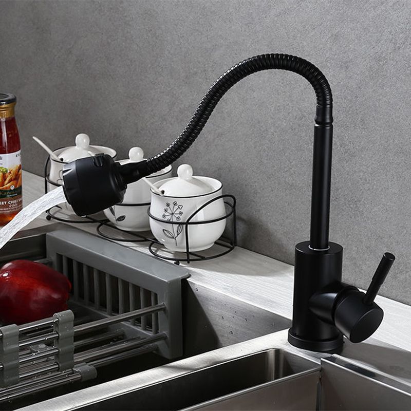 Modern 1-Handle 1-Hole Faucets Black and Silver Standard Kitchen Faucet Clearhalo 'Home Improvement' 'home_improvement' 'home_improvement_kitchen_faucets' 'Kitchen Faucets' 'Kitchen Remodel & Kitchen Fixtures' 'Kitchen Sinks & Faucet Components' 'kitchen_faucets' 1200x1200_64077515-4b99-4a39-b710-0b9b44d9a149