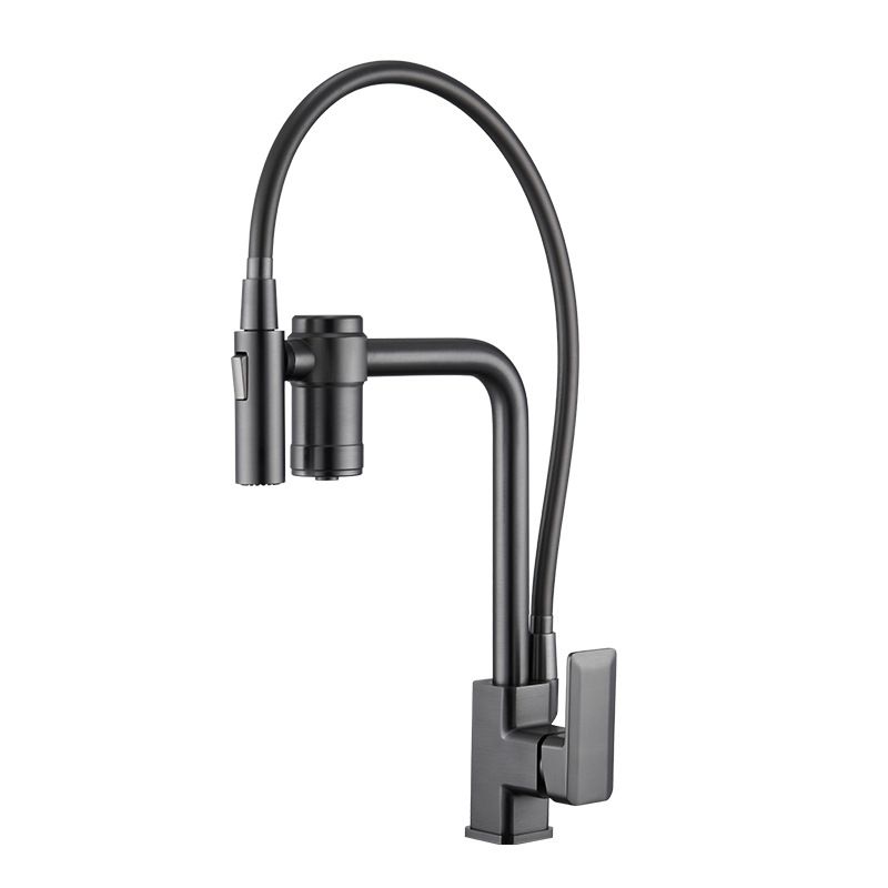 Single Handle Kitchen Faucet with Supply Lines Kitchen Sink Faucet with Pull down Sprayer Clearhalo 'Home Improvement' 'home_improvement' 'home_improvement_kitchen_faucets' 'Kitchen Faucets' 'Kitchen Remodel & Kitchen Fixtures' 'Kitchen Sinks & Faucet Components' 'kitchen_faucets' 1200x1200_646b887f-90bf-409a-984c-6786c4c5000e