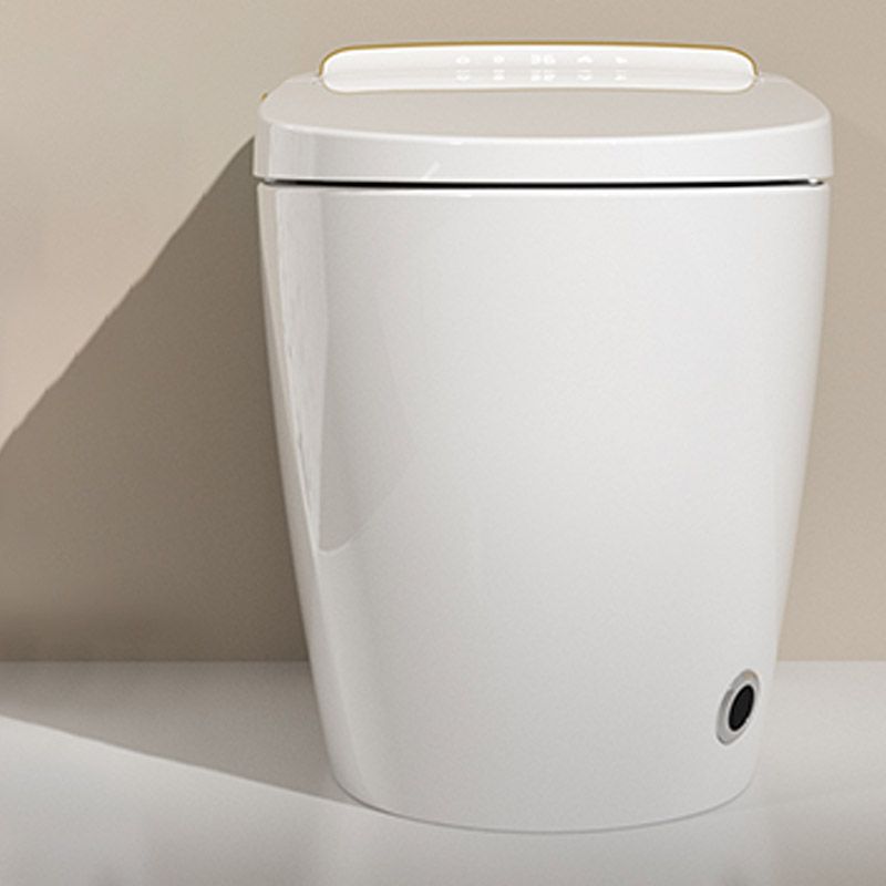 Modern White Concealed Tank Toilet Skirted ABS Floor Mounted Flush Toilet with Seat Clearhalo 'Bathroom Remodel & Bathroom Fixtures' 'Home Improvement' 'home_improvement' 'home_improvement_toilets' 'Toilets & Bidets' 'Toilets' 1200x1200_65a4277f-41b9-4f01-be40-5bf61b04b8df