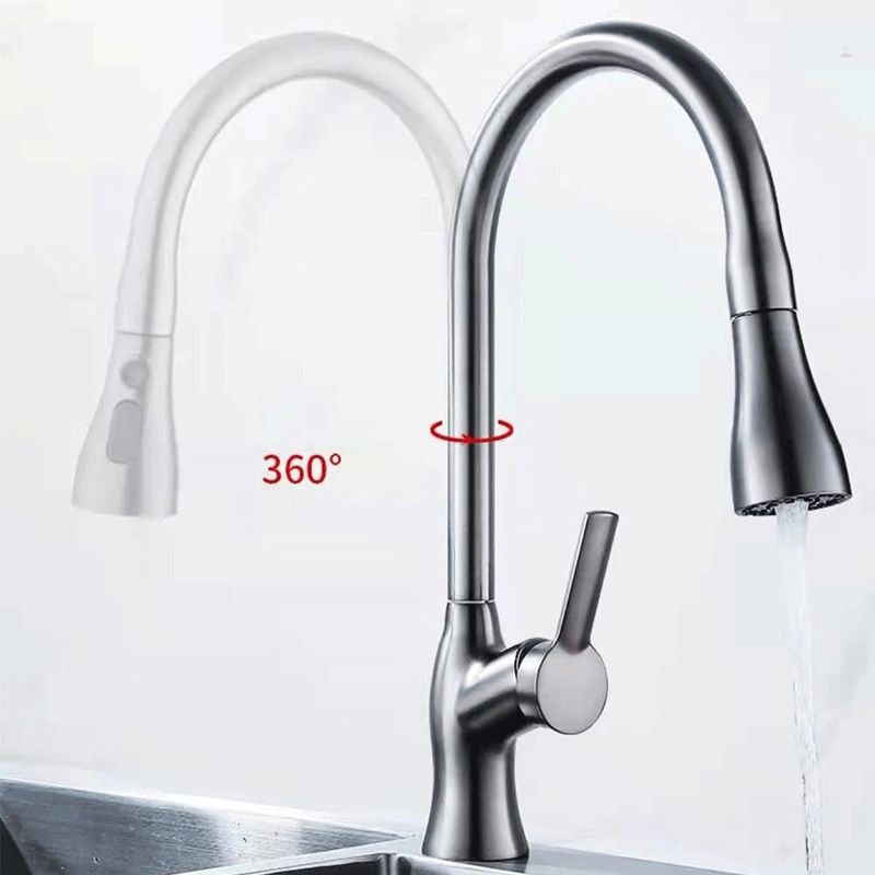 1-Hole 1-Handle Faucet Pull out Sprayer Standard Kitchen Faucet Clearhalo 'Home Improvement' 'home_improvement' 'home_improvement_kitchen_faucets' 'Kitchen Faucets' 'Kitchen Remodel & Kitchen Fixtures' 'Kitchen Sinks & Faucet Components' 'kitchen_faucets' 1200x1200_65d229af-e886-4782-b90b-84b7d5cfb04a