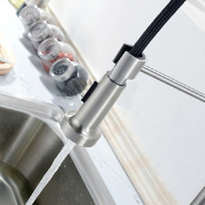 Modern Spring Spout Faucets 1-Handle 1-Hole with Water Dispenser Standard Kitchen Faucets Clearhalo 'Home Improvement' 'home_improvement' 'home_improvement_kitchen_faucets' 'Kitchen Faucets' 'Kitchen Remodel & Kitchen Fixtures' 'Kitchen Sinks & Faucet Components' 'kitchen_faucets' 1200x1200_660af077-4306-4cd5-a7e0-3ffd87eddf2c