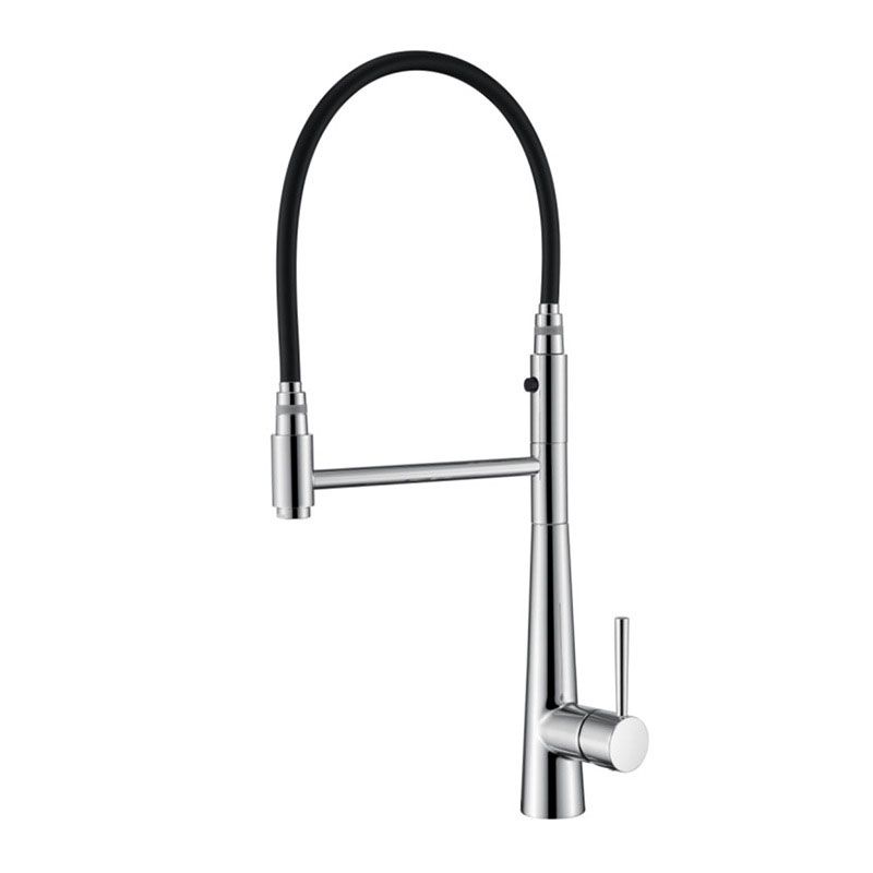 Modern Farmhouse Kitchen Faucet Pull down One Handle High Arch Water Filler Clearhalo 'Home Improvement' 'home_improvement' 'home_improvement_kitchen_faucets' 'Kitchen Faucets' 'Kitchen Remodel & Kitchen Fixtures' 'Kitchen Sinks & Faucet Components' 'kitchen_faucets' 1200x1200_670b73b4-a3e6-4b3d-8033-4bafac18fbbf