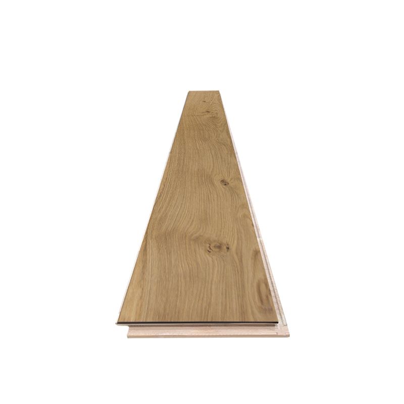 Classic Laminate Flooring Wood Indoor Living Room Waterproof Laminate Floor Clearhalo 'Flooring 'Home Improvement' 'home_improvement' 'home_improvement_laminate_flooring' 'Laminate Flooring' 'laminate_flooring' Walls and Ceiling' 1200x1200_678dc670-22c6-42fb-8bc4-5615b4ed4e45