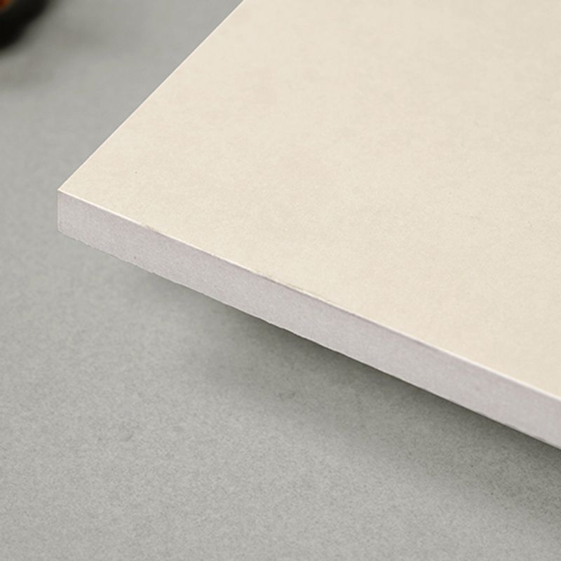 Matte Rectangular Singular Tile Cement Straight Edge Floor Tile Clearhalo 'Floor Tiles & Wall Tiles' 'floor_tiles_wall_tiles' 'Flooring 'Home Improvement' 'home_improvement' 'home_improvement_floor_tiles_wall_tiles' Walls and Ceiling' 1200x1200_67e456b0-278f-4d64-b37d-b0c05aaa7853