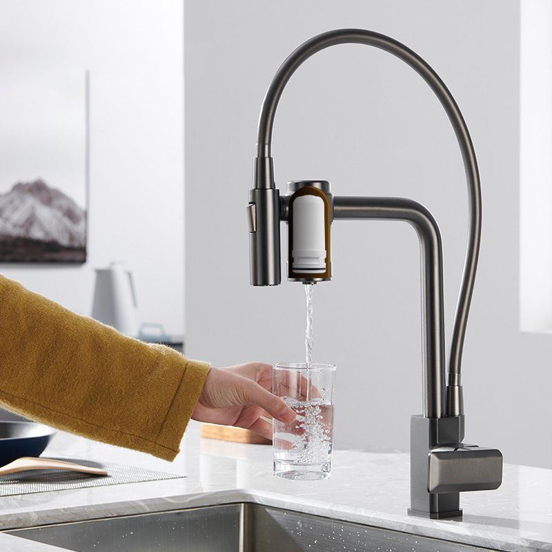 Single Handle Kitchen Faucet with Supply Lines Kitchen Sink Faucet with Pull down Sprayer Clearhalo 'Home Improvement' 'home_improvement' 'home_improvement_kitchen_faucets' 'Kitchen Faucets' 'Kitchen Remodel & Kitchen Fixtures' 'Kitchen Sinks & Faucet Components' 'kitchen_faucets' 1200x1200_6821d2b0-d5d2-4ff5-9867-e3349eb5d737