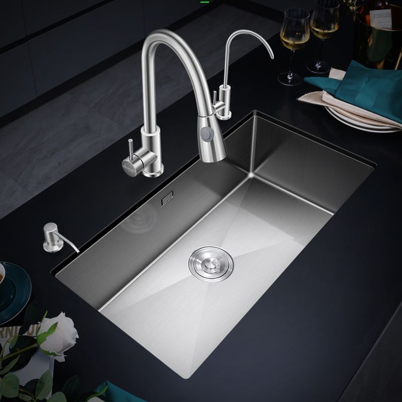 Single Bowl Kitchen Sink Stainless Steel Kitchen Sink with Drain Assembly Clearhalo 'Home Improvement' 'home_improvement' 'home_improvement_kitchen_sinks' 'Kitchen Remodel & Kitchen Fixtures' 'Kitchen Sinks & Faucet Components' 'Kitchen Sinks' 'kitchen_sinks' 1200x1200_6875808a-6cbc-4fd1-93c9-e97cdbbb1dfc