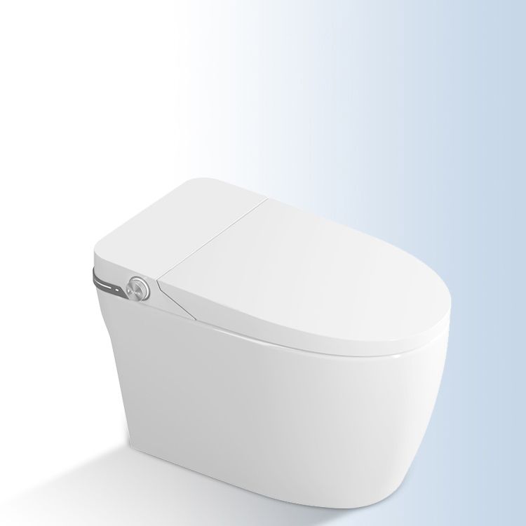 Elongated Floor Mount Bidet White Smart Bidet with Heated Seat Clearhalo 'Bathroom Remodel & Bathroom Fixtures' 'Bidets' 'Home Improvement' 'home_improvement' 'home_improvement_bidets' 'Toilets & Bidets' 1200x1200_69ad79d2-9252-4752-8ea7-19e346de4459