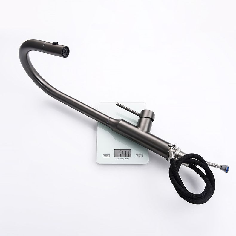 Modern Kitchen Faucet Stainless Steel 1-Handle High Arc Retractable Kitchen Faucet Clearhalo 'Home Improvement' 'home_improvement' 'home_improvement_kitchen_faucets' 'Kitchen Faucets' 'Kitchen Remodel & Kitchen Fixtures' 'Kitchen Sinks & Faucet Components' 'kitchen_faucets' 1200x1200_69d518d9-68b0-49f3-96c5-e98fae08b120