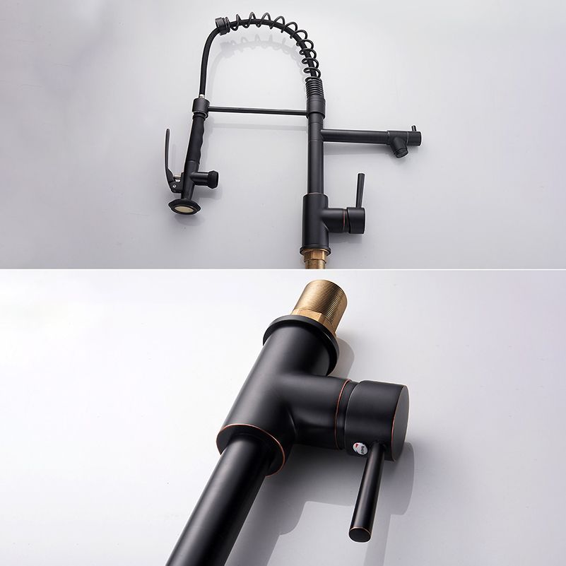 Modern Farmhouse Spring Spout Kitchen Sink Faucet Gooseneck with Pull Down Sprayer Clearhalo 'Home Improvement' 'home_improvement' 'home_improvement_kitchen_faucets' 'Kitchen Faucets' 'Kitchen Remodel & Kitchen Fixtures' 'Kitchen Sinks & Faucet Components' 'kitchen_faucets' 1200x1200_69f5a9c3-a94c-4151-9ac1-a74b7a932ee3