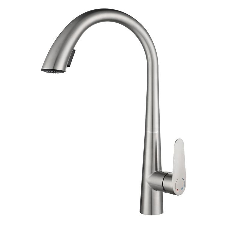 Modern Style Retractable Kitchen Faucet 304 Stainless Steel 1-Handle Kitchen Faucet Clearhalo 'Home Improvement' 'home_improvement' 'home_improvement_kitchen_faucets' 'Kitchen Faucets' 'Kitchen Remodel & Kitchen Fixtures' 'Kitchen Sinks & Faucet Components' 'kitchen_faucets' 1200x1200_6a404c42-6c5a-411e-be59-1581125de071