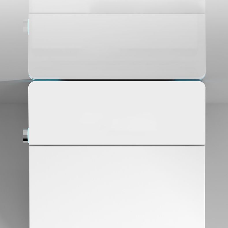 Contemporary Elongated Floor Mount Bidet White Smart Bidet with Bidet And Seat Clearhalo 'Bathroom Remodel & Bathroom Fixtures' 'Bidets' 'Home Improvement' 'home_improvement' 'home_improvement_bidets' 'Toilets & Bidets' 1200x1200_6a88510f-460c-4c55-9ebf-e30adef0dfb3