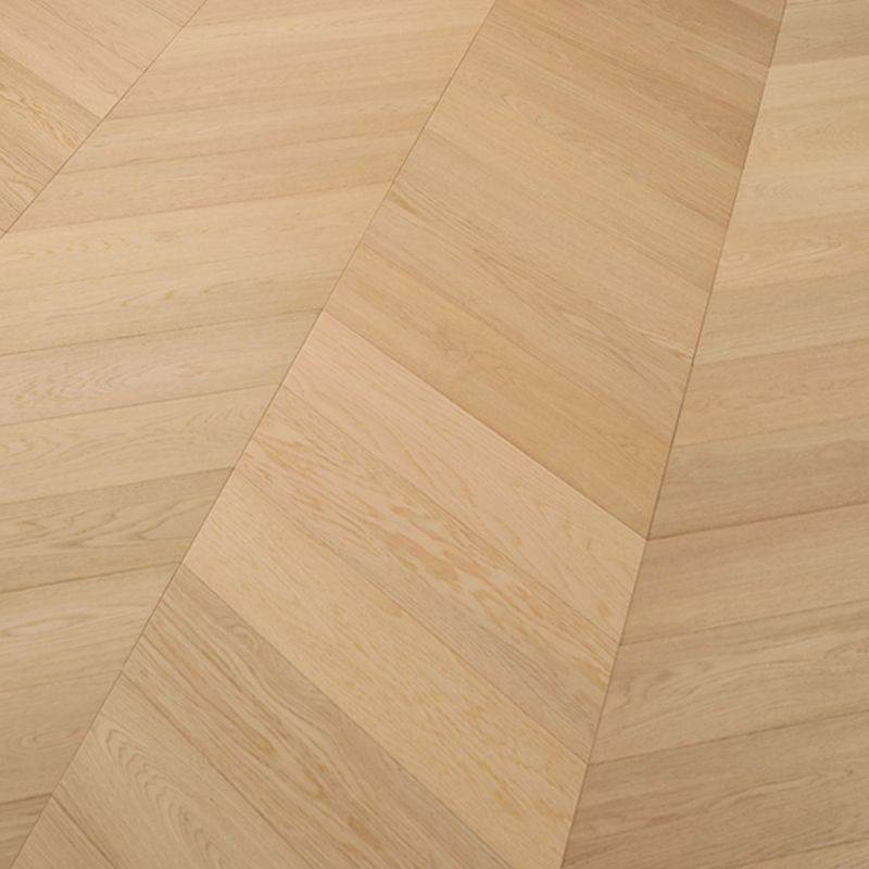 Modern Laminate Flooring Wood Indoor Waterproof Easy-care Medium Textured Laminate Floor Clearhalo 'Flooring 'Home Improvement' 'home_improvement' 'home_improvement_laminate_flooring' 'Laminate Flooring' 'laminate_flooring' Walls and Ceiling' 1200x1200_6aec929c-c992-4b1d-983c-b1b1e5f85cf3