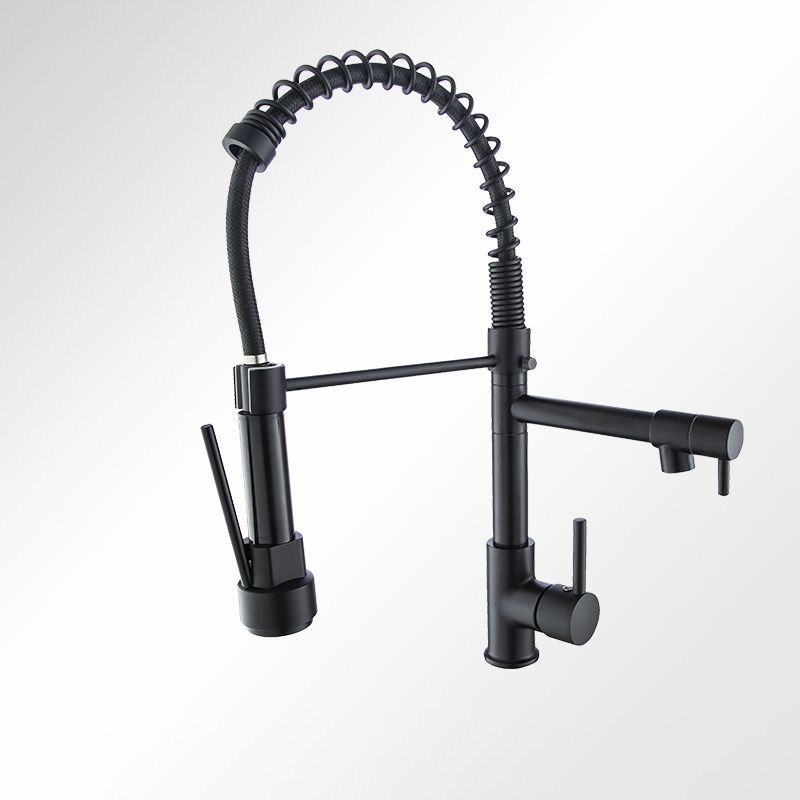 Modern Farmhouse Faucet Spout Double Levers Kitchen Faucet High Arch Filler with Sprayer Clearhalo 'Home Improvement' 'home_improvement' 'home_improvement_kitchen_faucets' 'Kitchen Faucets' 'Kitchen Remodel & Kitchen Fixtures' 'Kitchen Sinks & Faucet Components' 'kitchen_faucets' 1200x1200_6c2a0186-aeb9-4b94-8407-4a40c2a76776