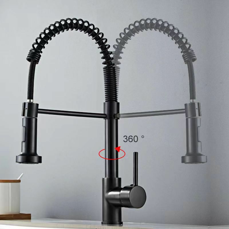 Modern 1-Handle Faucet Spring Spout with Water Dispenser Standard Kitchen Faucet Clearhalo 'Home Improvement' 'home_improvement' 'home_improvement_kitchen_faucets' 'Kitchen Faucets' 'Kitchen Remodel & Kitchen Fixtures' 'Kitchen Sinks & Faucet Components' 'kitchen_faucets' 1200x1200_6c901d52-820c-457a-a957-d05912b38d19