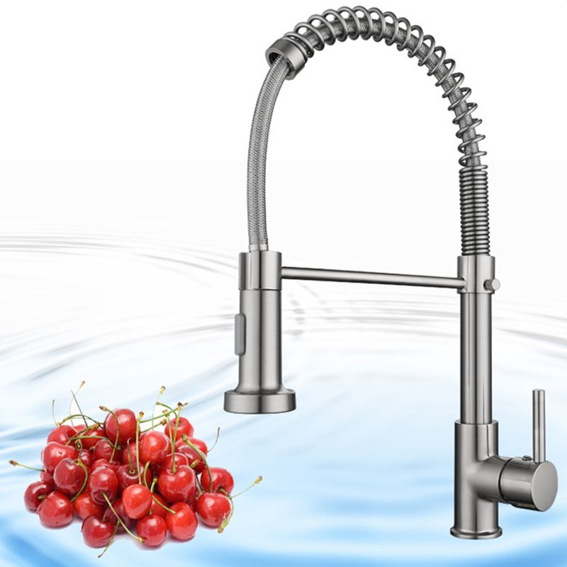 Modern Farmhouse Kitchen Faucet Pull down Single Handle 304 Stainless Steel Faucet Clearhalo 'Home Improvement' 'home_improvement' 'home_improvement_kitchen_faucets' 'Kitchen Faucets' 'Kitchen Remodel & Kitchen Fixtures' 'Kitchen Sinks & Faucet Components' 'kitchen_faucets' 1200x1200_6cdf5225-2cae-42c5-8d0f-ba07a042d8c9