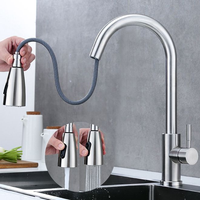 Modern 1-Handle Faucet 304 Stainless Steel with Water Dispenser Pull down Faucet Clearhalo 'Home Improvement' 'home_improvement' 'home_improvement_kitchen_faucets' 'Kitchen Faucets' 'Kitchen Remodel & Kitchen Fixtures' 'Kitchen Sinks & Faucet Components' 'kitchen_faucets' 1200x1200_6e250428-1d2b-4022-887f-b76b7cd1c8ea