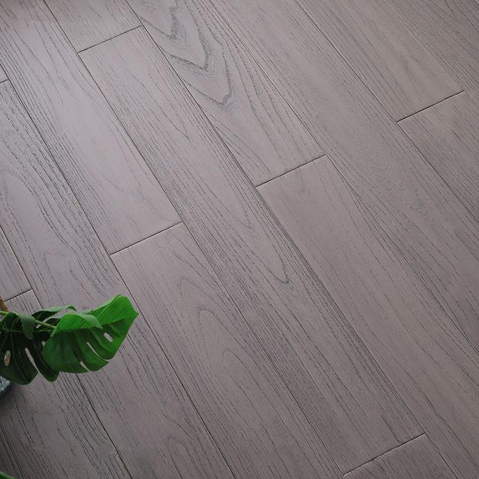 Contemporary Laminate Floor Solid Wood Laminate Plank Flooring Clearhalo 'Flooring 'Home Improvement' 'home_improvement' 'home_improvement_laminate_flooring' 'Laminate Flooring' 'laminate_flooring' Walls and Ceiling' 1200x1200_6e5e0ae3-7f7b-442c-b542-e0d551dc7094