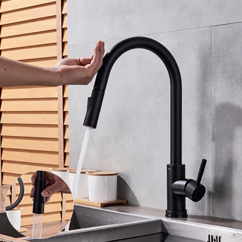 Modern Touch Kitchen Faucet Stainless Steel Single Handle Retractable Kitchen Faucet Clearhalo 'Home Improvement' 'home_improvement' 'home_improvement_kitchen_faucets' 'Kitchen Faucets' 'Kitchen Remodel & Kitchen Fixtures' 'Kitchen Sinks & Faucet Components' 'kitchen_faucets' 1200x1200_6e84a6a0-24d1-43e0-a52b-da6ba2902a98