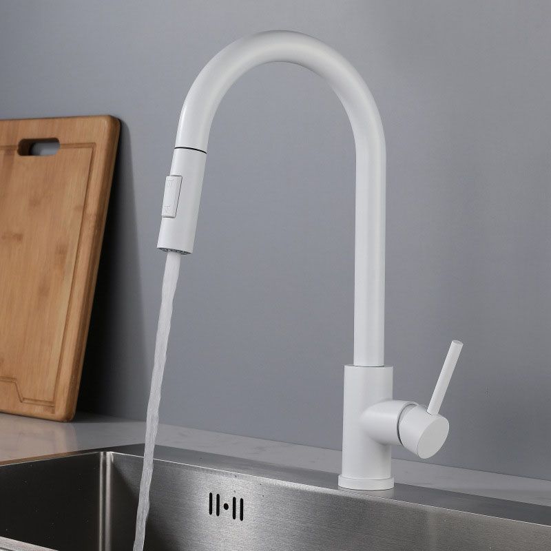 Contemporary Single Handle Kitchen Faucet 1-Hold Faucet with Pull out Sprayer Clearhalo 'Home Improvement' 'home_improvement' 'home_improvement_kitchen_faucets' 'Kitchen Faucets' 'Kitchen Remodel & Kitchen Fixtures' 'Kitchen Sinks & Faucet Components' 'kitchen_faucets' 1200x1200_6ecea746-c9da-4c79-9f8f-cbdef089eece
