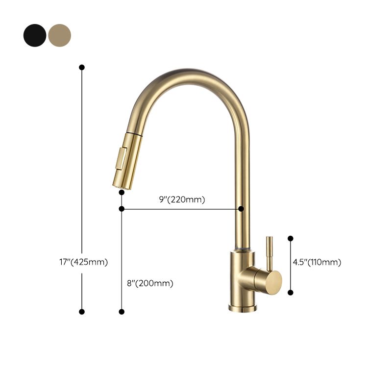 Modern 1-Handle Faucets Stainless Steel Gooseneck with Pull Out Sprayer Faucets Clearhalo 'Home Improvement' 'home_improvement' 'home_improvement_kitchen_faucets' 'Kitchen Faucets' 'Kitchen Remodel & Kitchen Fixtures' 'Kitchen Sinks & Faucet Components' 'kitchen_faucets' 1200x1200_6ed3b845-36f7-4cce-9dd0-bb3538378078