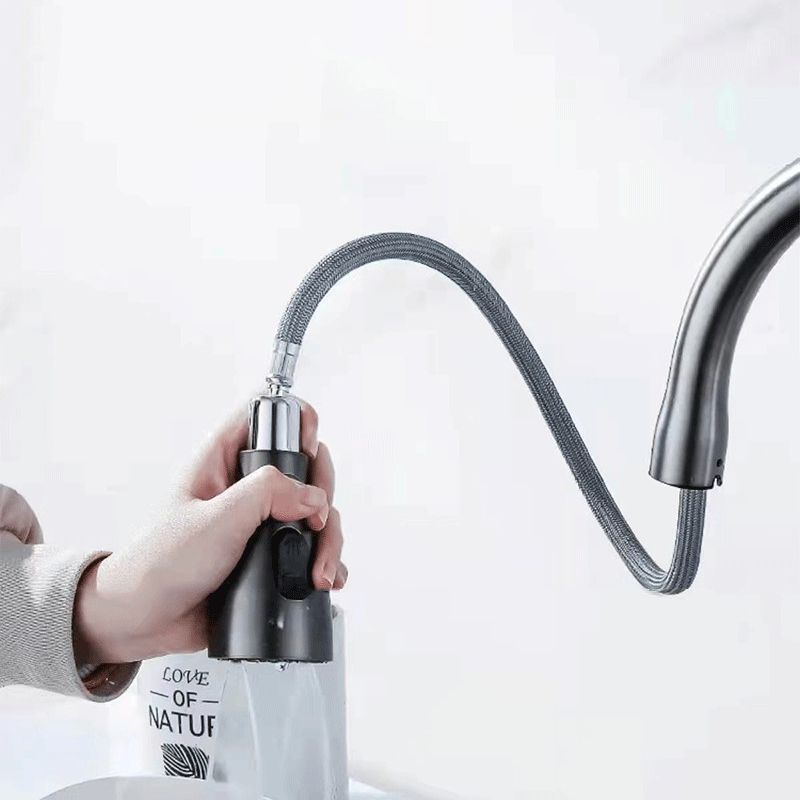 1-Hole 1-Handle Faucet Pull out Sprayer Standard Kitchen Faucet Clearhalo 'Home Improvement' 'home_improvement' 'home_improvement_kitchen_faucets' 'Kitchen Faucets' 'Kitchen Remodel & Kitchen Fixtures' 'Kitchen Sinks & Faucet Components' 'kitchen_faucets' 1200x1200_6f1df023-07d7-409d-aa58-7f43ad242bb3