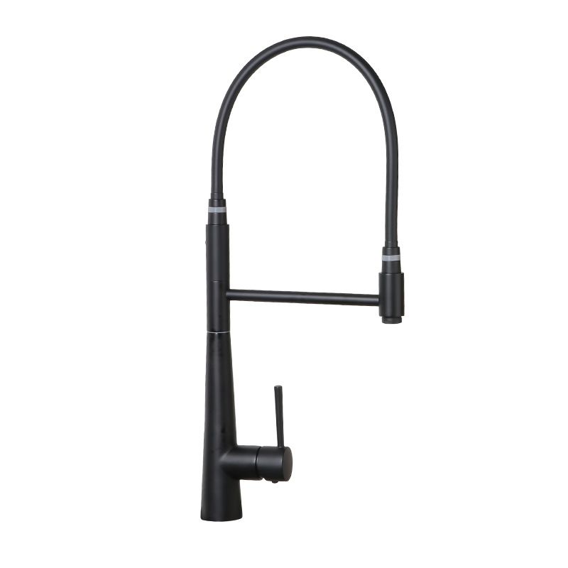 Modern Farmhouse Kitchen Faucet Pull down One Handle High Arch Water Filler Clearhalo 'Home Improvement' 'home_improvement' 'home_improvement_kitchen_faucets' 'Kitchen Faucets' 'Kitchen Remodel & Kitchen Fixtures' 'Kitchen Sinks & Faucet Components' 'kitchen_faucets' 1200x1200_70280977-adb4-4c69-bba9-e30d33e565b7