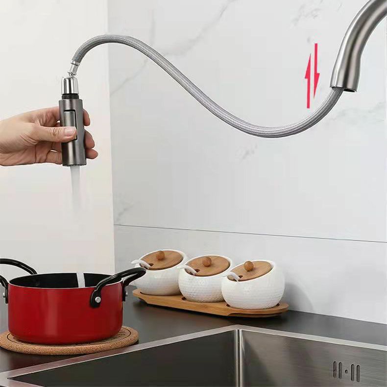 Modern 1-Handle Faucet Pull out Sprayer Standard Kitchen Faucet Clearhalo 'Home Improvement' 'home_improvement' 'home_improvement_kitchen_faucets' 'Kitchen Faucets' 'Kitchen Remodel & Kitchen Fixtures' 'Kitchen Sinks & Faucet Components' 'kitchen_faucets' 1200x1200_7120550f-d105-4f58-93c1-5e86e002b7db