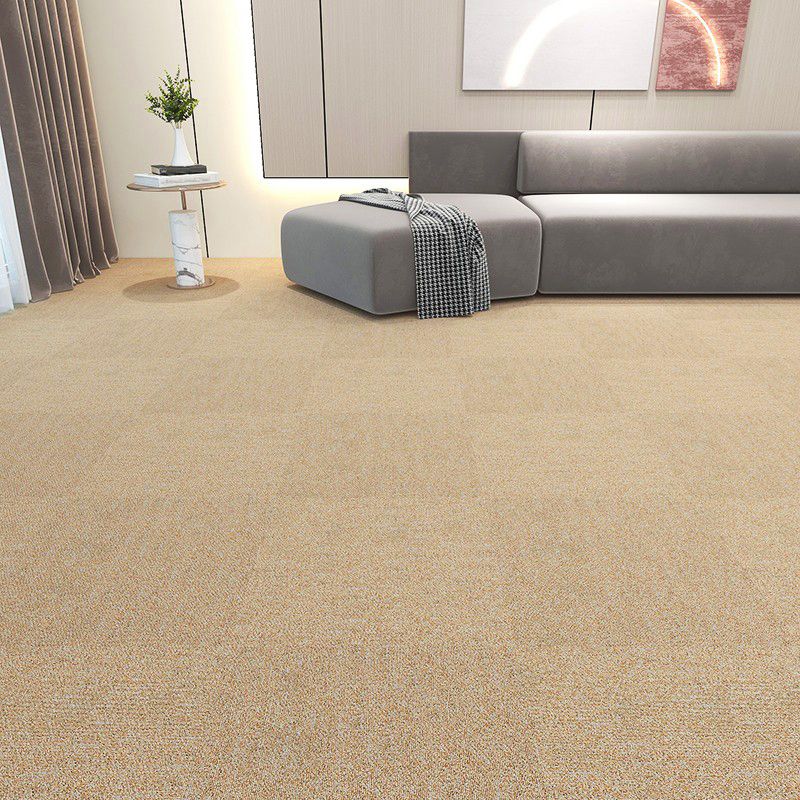 Loose Lay Indoor Carpet Tiles Non-Skid Level Loop Carpet Tile Clearhalo 'Carpet Tiles & Carpet Squares' 'carpet_tiles_carpet_squares' 'Flooring 'Home Improvement' 'home_improvement' 'home_improvement_carpet_tiles_carpet_squares' Walls and Ceiling' 1200x1200_71edb880-d891-42fa-906b-f17b2ab858e5