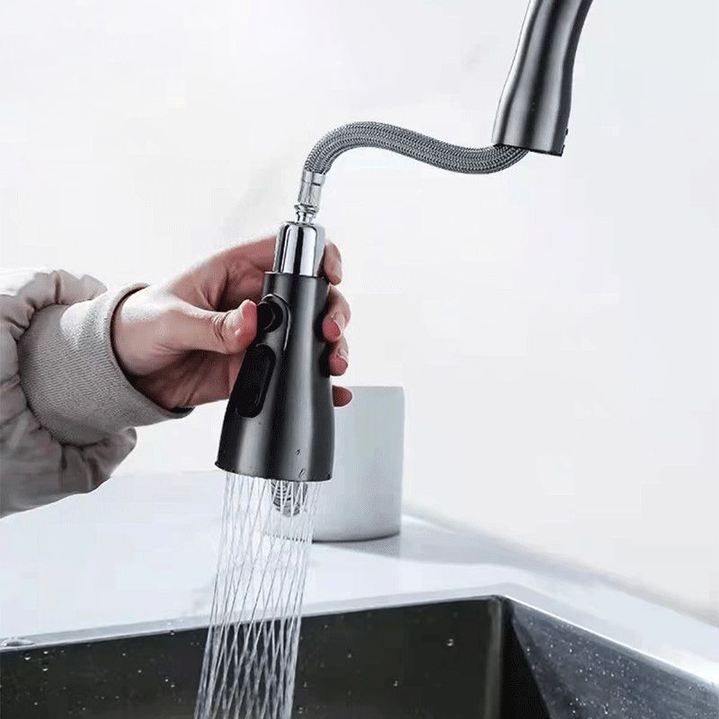 1-Hole 1-Handle Faucet Pull out Sprayer Standard Kitchen Faucet Clearhalo 'Home Improvement' 'home_improvement' 'home_improvement_kitchen_faucets' 'Kitchen Faucets' 'Kitchen Remodel & Kitchen Fixtures' 'Kitchen Sinks & Faucet Components' 'kitchen_faucets' 1200x1200_727b8bb7-a6c8-4608-bfc6-ffc5b11d2682