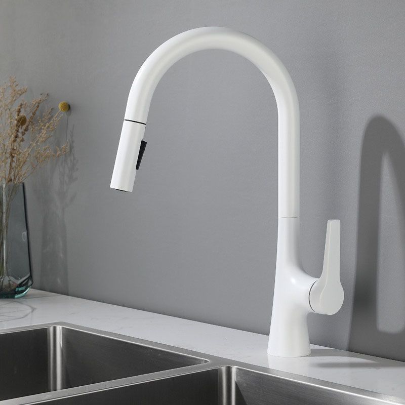 Contemporary Single Handle Kitchen Faucet Water Filler with Pull out Sprayer Clearhalo 'Home Improvement' 'home_improvement' 'home_improvement_kitchen_faucets' 'Kitchen Faucets' 'Kitchen Remodel & Kitchen Fixtures' 'Kitchen Sinks & Faucet Components' 'kitchen_faucets' 1200x1200_72f83426-c1ef-4f68-b4f0-f9c423b75a1c