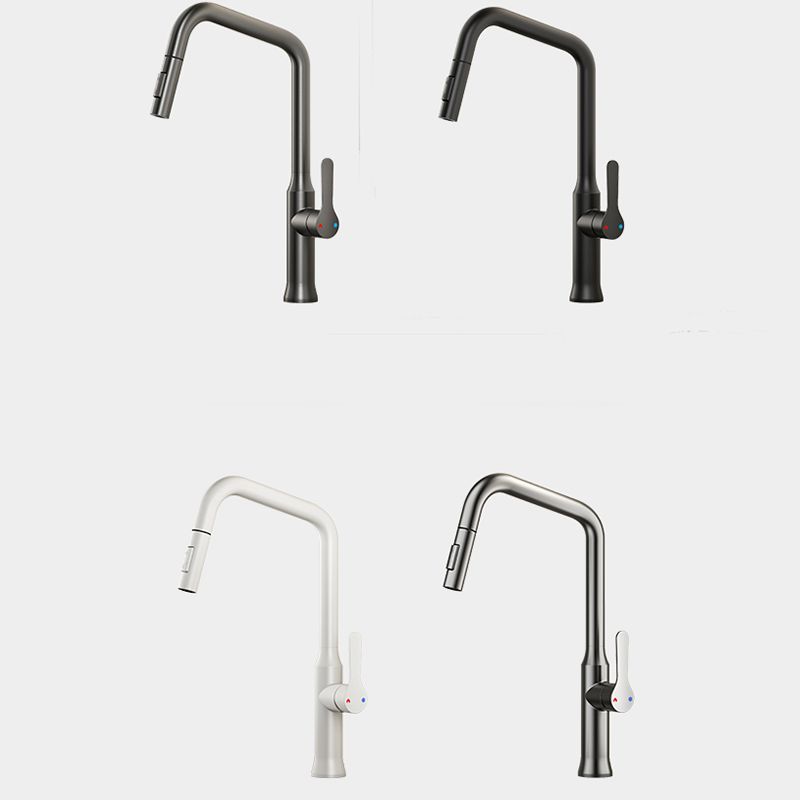 Swivel Spout Kitchen Sink Faucet 304 Stainless Steel with Pull Out Sprayer Clearhalo 'Home Improvement' 'home_improvement' 'home_improvement_kitchen_faucets' 'Kitchen Faucets' 'Kitchen Remodel & Kitchen Fixtures' 'Kitchen Sinks & Faucet Components' 'kitchen_faucets' 1200x1200_73475e5b-a035-4543-8675-4d0111343196