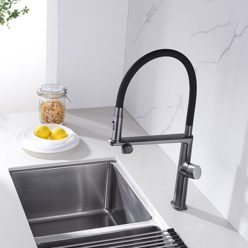 Farmhouse Spring Spout Water Filler One Handle High Arch Kitchen Faucet Clearhalo 'Home Improvement' 'home_improvement' 'home_improvement_kitchen_faucets' 'Kitchen Faucets' 'Kitchen Remodel & Kitchen Fixtures' 'Kitchen Sinks & Faucet Components' 'kitchen_faucets' 1200x1200_73577d9c-2bed-4f10-8d0a-a352e4252c9d