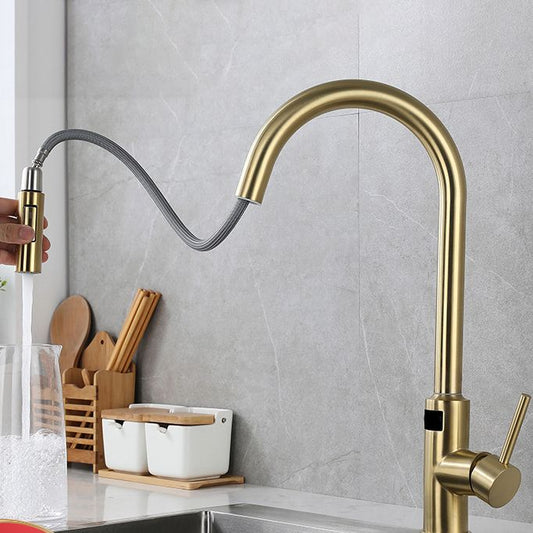 Modern Style Kitchen Faucet Stainless Steel Single Handle Retractable Kitchen Faucet Clearhalo 'Home Improvement' 'home_improvement' 'home_improvement_kitchen_faucets' 'Kitchen Faucets' 'Kitchen Remodel & Kitchen Fixtures' 'Kitchen Sinks & Faucet Components' 'kitchen_faucets' 1200x1200_73ca8e76-8a8e-40bc-ad37-79a81fb0b948
