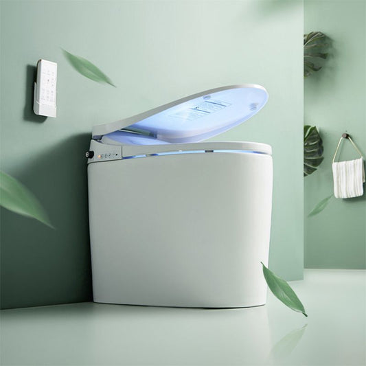 Elongated White Bidet 20.47" H One-Piece Smart Toilet Bidet with Dryer Clearhalo 'Bathroom Remodel & Bathroom Fixtures' 'Bidets' 'Home Improvement' 'home_improvement' 'home_improvement_bidets' 'Toilets & Bidets' 1200x1200_740a73a1-eeb6-490e-844e-be239d11954b