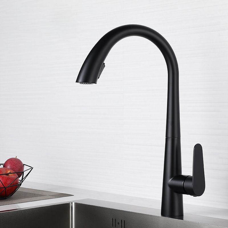 Contemporary Pull Down Kitchen Standard Faucet Single Handle Faucet with Pull Out Sprayer Clearhalo 'Home Improvement' 'home_improvement' 'home_improvement_kitchen_faucets' 'Kitchen Faucets' 'Kitchen Remodel & Kitchen Fixtures' 'Kitchen Sinks & Faucet Components' 'kitchen_faucets' 1200x1200_741e41ad-7d43-401f-be50-9558d11265c4