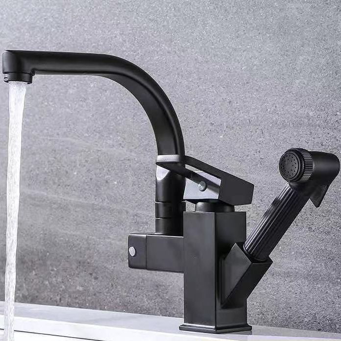 Modern 1-Handle Faucet with Water Dispenser with Pull out Sprayer Faucet Clearhalo 'Home Improvement' 'home_improvement' 'home_improvement_kitchen_faucets' 'Kitchen Faucets' 'Kitchen Remodel & Kitchen Fixtures' 'Kitchen Sinks & Faucet Components' 'kitchen_faucets' 1200x1200_74204d5a-d42d-4468-8057-67ae7f6b8180