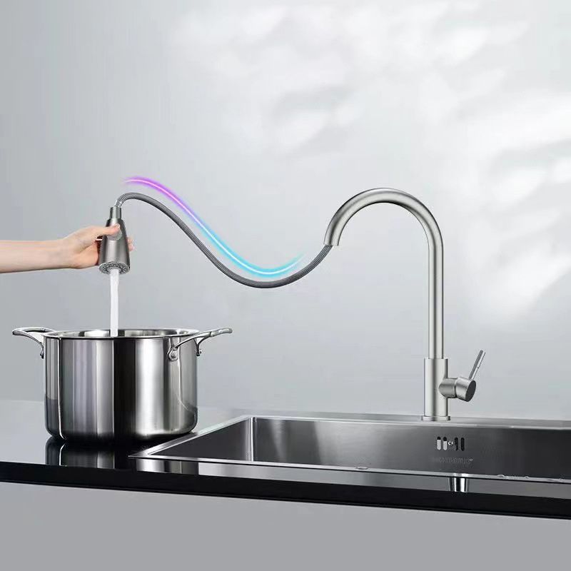 Modern 1-Handle Faucet Stainless Steel Pull down Standard Kitchen Faucet Clearhalo 'Home Improvement' 'home_improvement' 'home_improvement_kitchen_faucets' 'Kitchen Faucets' 'Kitchen Remodel & Kitchen Fixtures' 'Kitchen Sinks & Faucet Components' 'kitchen_faucets' 1200x1200_74eaec6c-e99f-4a59-b314-e5564767d711