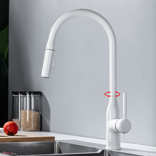 Modern Standard Kitchen Faucet Gooseneck Kitchen Faucet with One Handle Clearhalo 'Home Improvement' 'home_improvement' 'home_improvement_kitchen_faucets' 'Kitchen Faucets' 'Kitchen Remodel & Kitchen Fixtures' 'Kitchen Sinks & Faucet Components' 'kitchen_faucets' 1200x1200_7564f723-1a87-4a2c-8b41-7dbbd6dfe3b9