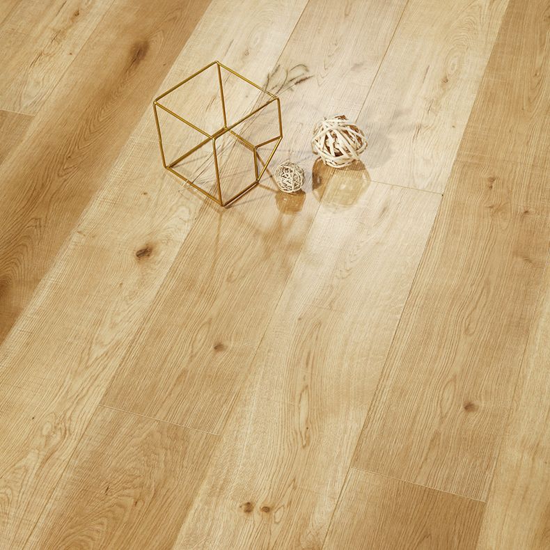 Modern E0 Solid Wood Laminate Flooring in Natural, Click-Lock, Waterproof Clearhalo 'Flooring 'Home Improvement' 'home_improvement' 'home_improvement_laminate_flooring' 'Laminate Flooring' 'laminate_flooring' Walls and Ceiling' 1200x1200_765e9966-a182-42ea-8c10-cf64686d8f83