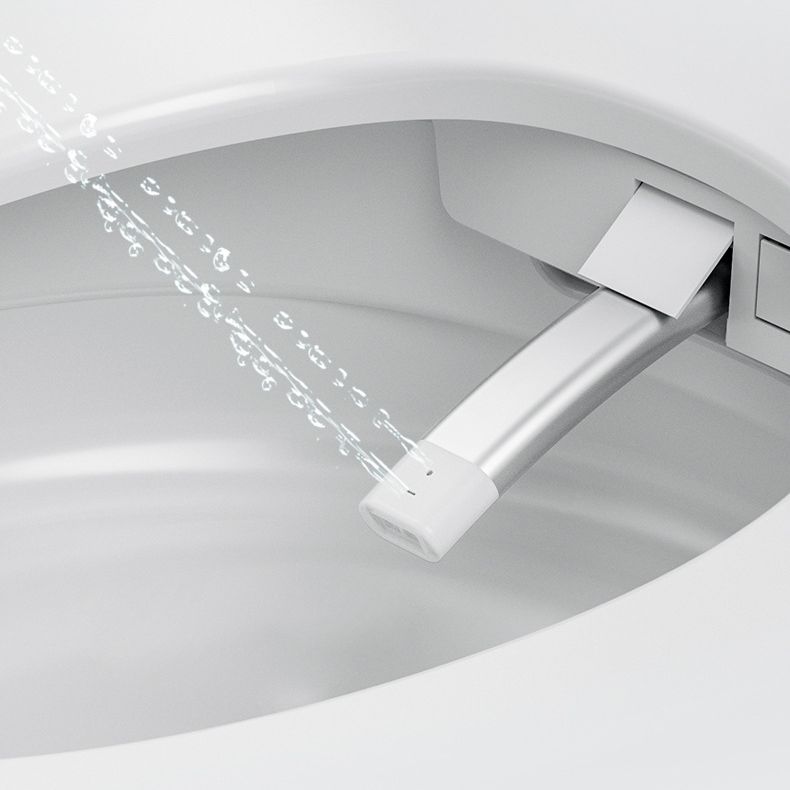 Contemporary 1-Piece Bidet Toilet Floor Mounted Round Toilet Bowl for Washroom Clearhalo 'Bathroom Remodel & Bathroom Fixtures' 'Home Improvement' 'home_improvement' 'home_improvement_toilets' 'Toilets & Bidets' 'Toilets' 1200x1200_770a7c24-1779-4a58-a669-11ac590f1831