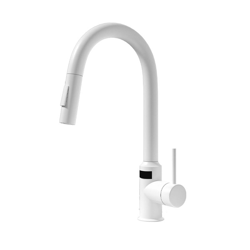 Modern Standard Bar Faucet 1-Handle with Pull down Sprayer Kitchen Faucet Clearhalo 'Home Improvement' 'home_improvement' 'home_improvement_kitchen_faucets' 'Kitchen Faucets' 'Kitchen Remodel & Kitchen Fixtures' 'Kitchen Sinks & Faucet Components' 'kitchen_faucets' 1200x1200_776e03f1-5c2d-43b5-82e2-1ed00285986d