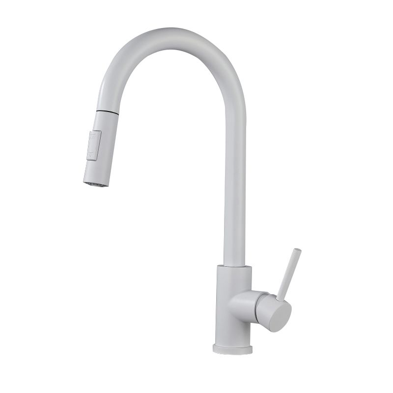 Modern Style Retractable Kitchen Faucet Stainless Steel 1-Handle Kitchen Faucet Clearhalo 'Home Improvement' 'home_improvement' 'home_improvement_kitchen_faucets' 'Kitchen Faucets' 'Kitchen Remodel & Kitchen Fixtures' 'Kitchen Sinks & Faucet Components' 'kitchen_faucets' 1200x1200_77950002-78bc-43ca-99a7-b288acd1b0f5