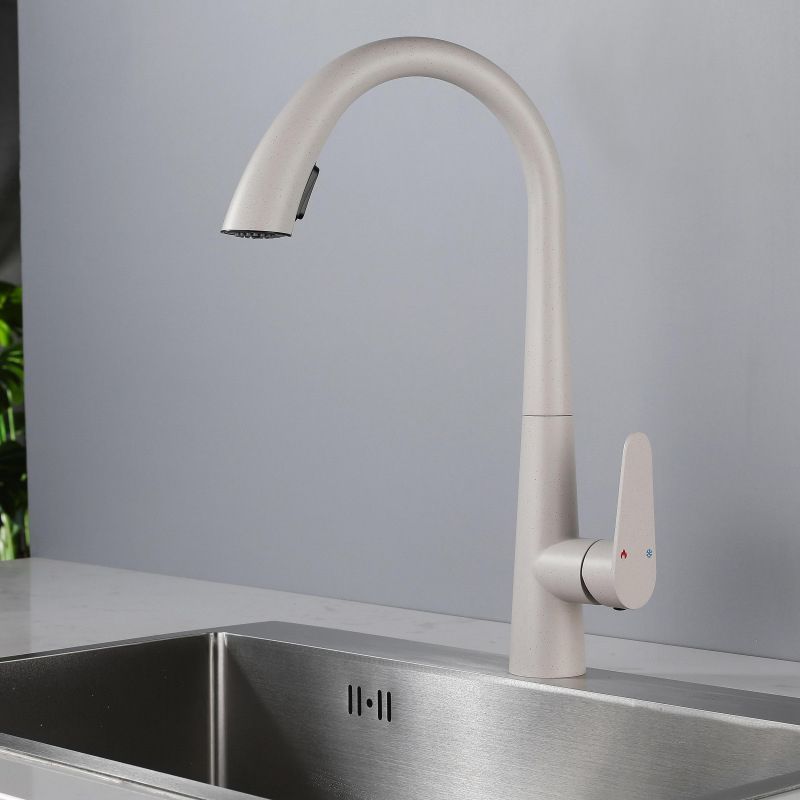 Modern Style Retractable Kitchen Faucet 304 Stainless Steel 1-Handle Kitchen Faucet Clearhalo 'Home Improvement' 'home_improvement' 'home_improvement_kitchen_faucets' 'Kitchen Faucets' 'Kitchen Remodel & Kitchen Fixtures' 'Kitchen Sinks & Faucet Components' 'kitchen_faucets' 1200x1200_7835eb52-14a1-42ad-9c2f-284e5c6be934